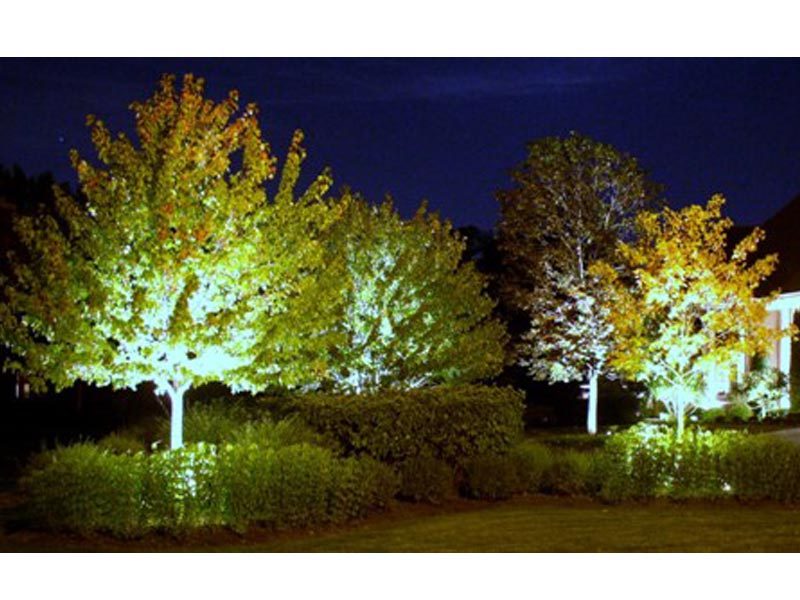 tree-lighting