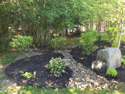 A rain garden at the end of the drainage swale creates a beautiful focal point.