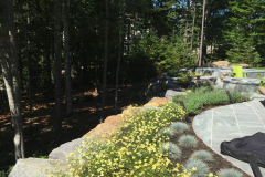 The creeping evergreens will eventually grow to cascade down over the boulder wall.