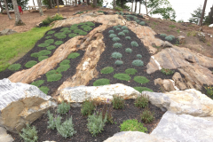 The exposed ledge below is planted with hundreds of flowering groundcover perennials.