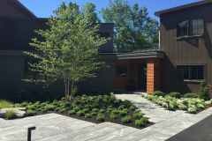 Contemporary mass plantings create a bold aesthetic.