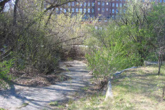 Phase 2: Notice the overgrown scrub blocking view of the Saco river beyond.