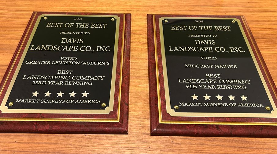 Winter 2025 – Recognition Awards