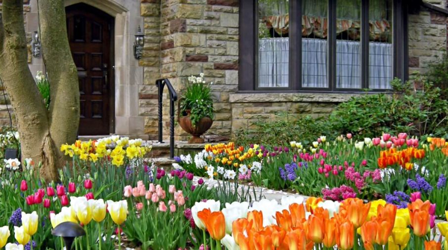 Spring 2026 – Time for the Colors of Nature in Maine!